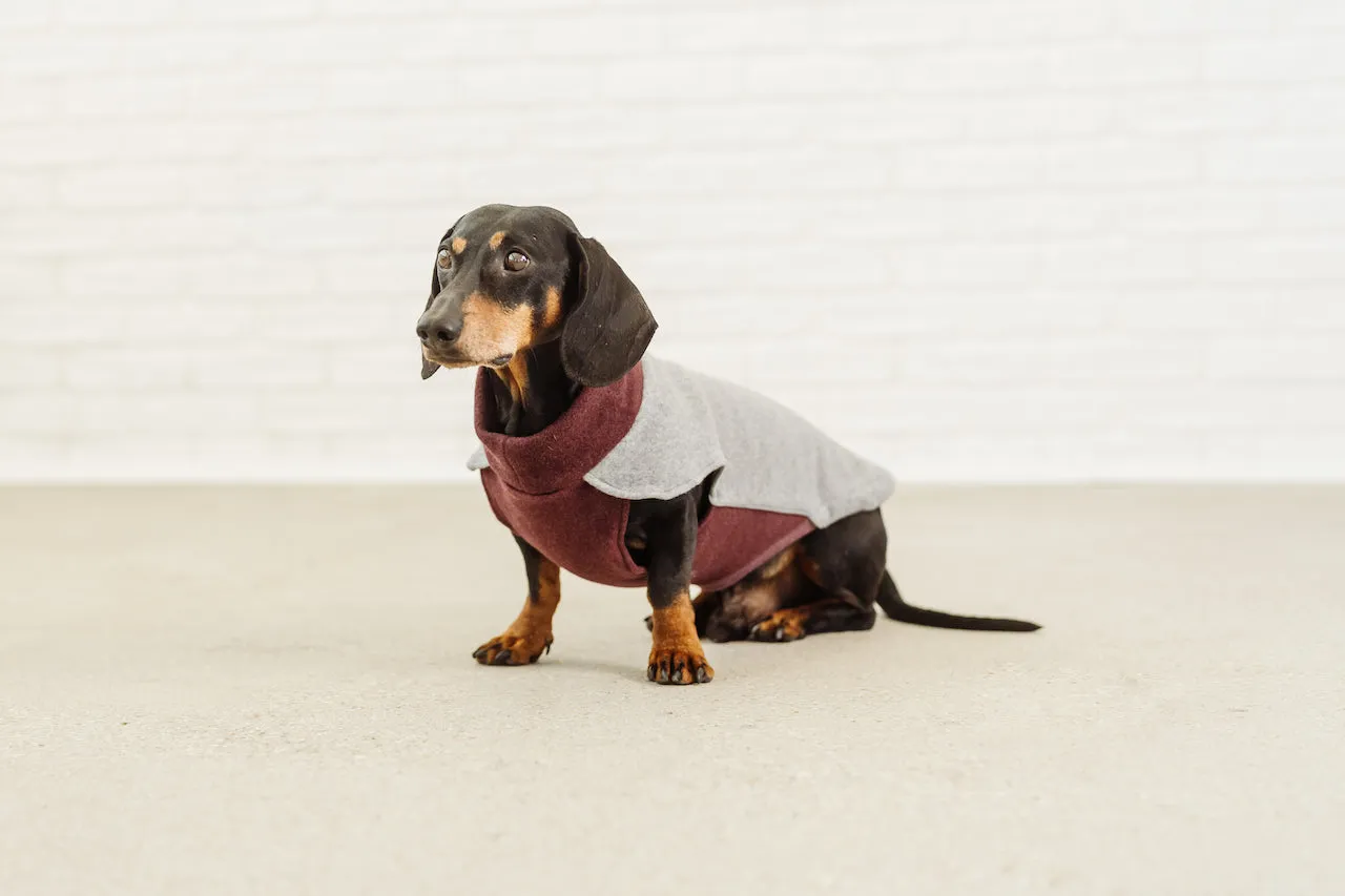Dachshund Fleece Jumper Tina