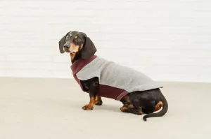 Dachshund Fleece Jumper Tina